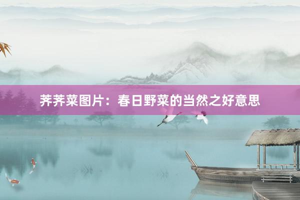 荠荠菜图片：春日野菜的当然之好意思